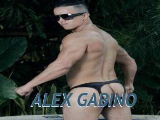 ALEX_GABINO