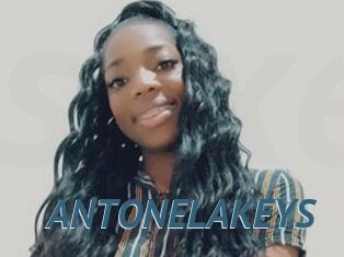 ANTONELAKEYS