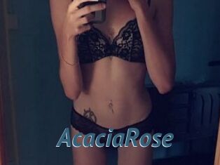 AcaciaRose