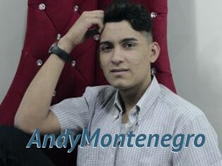 AndyMontenegro