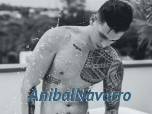 AnibalNavarro