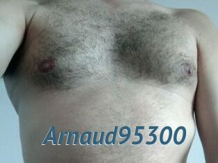 Arnaud95300