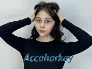 Accaharkey