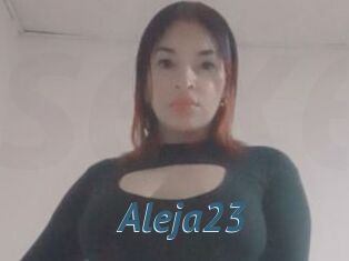 Aleja23