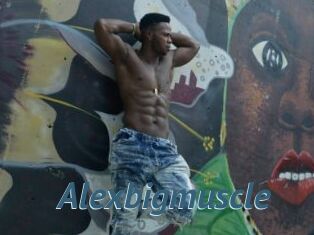 Alexbigmuscle