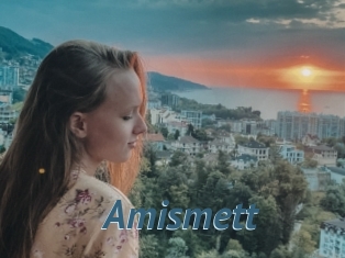 Amismett