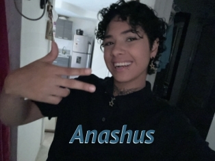 Anashus