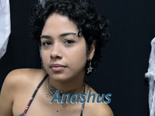 Anashus