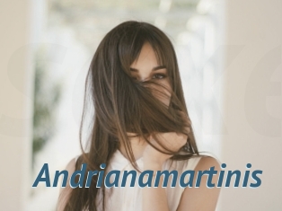 Andrianamartinis