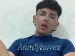 Anndytorrez