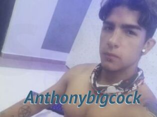 Anthonybigcock