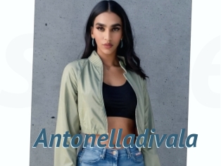 Antonelladivala