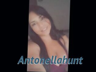 Antonellahunt