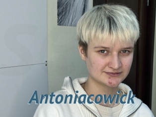 Antoniacowick