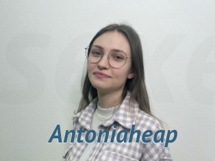 Antoniaheap