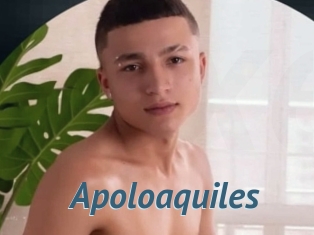 Apoloaquiles