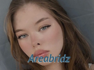 Areabridz