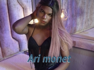 Ari_monet