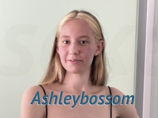 Ashleybossom