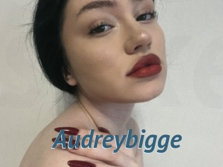 Audreybigge