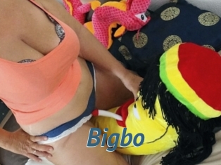 Bigbo