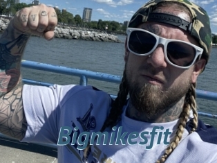 Bigmikesfit