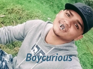 Boycurious