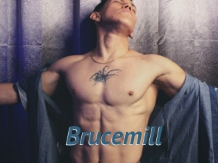 Brucemill