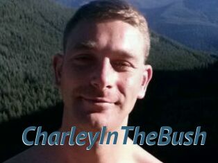 CharleyInTheBush