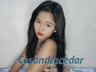 Casandracedar