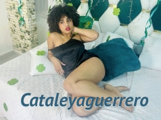 Cataleyaguerrero