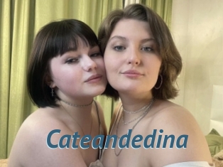 Cateandedina