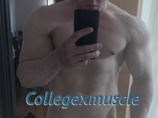 Collegexmuscle