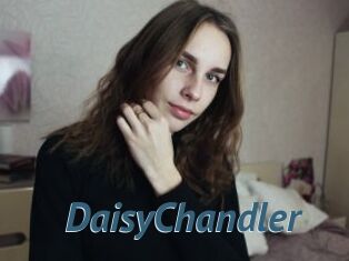 Daisy_Chandler