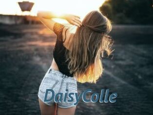 DaisyColle