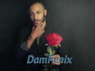 DamFenix