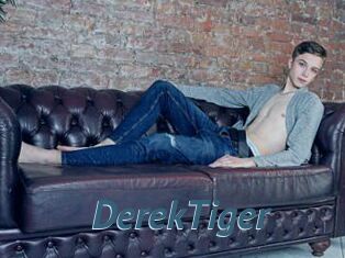 DerekTiger