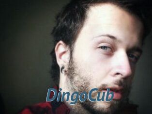 DingoCub