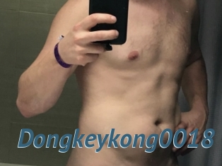 Dongkeykong0018