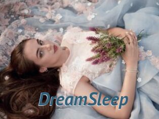 DreamSleep