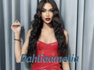 Dahliaamelia