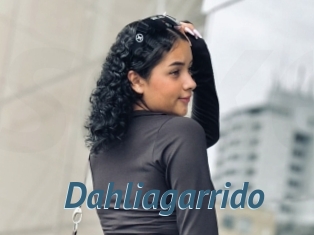 Dahliagarrido