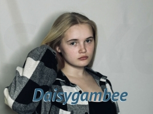 Daisygambee