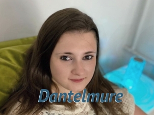 Dantelmure