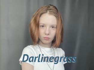 Darlinegrass