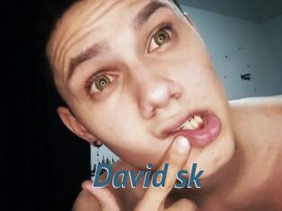 David_sk