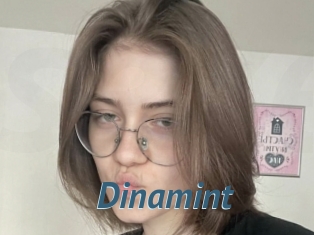 Dinamint