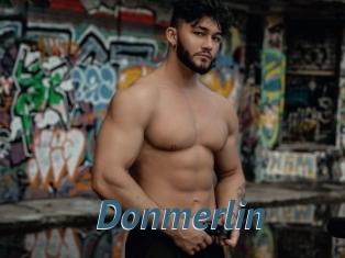 Donmerlin