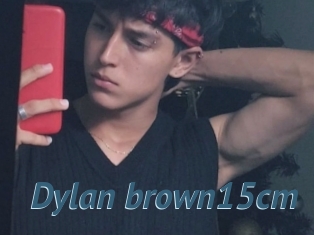 Dylan_brown15cm