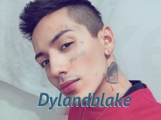 Dylandblake